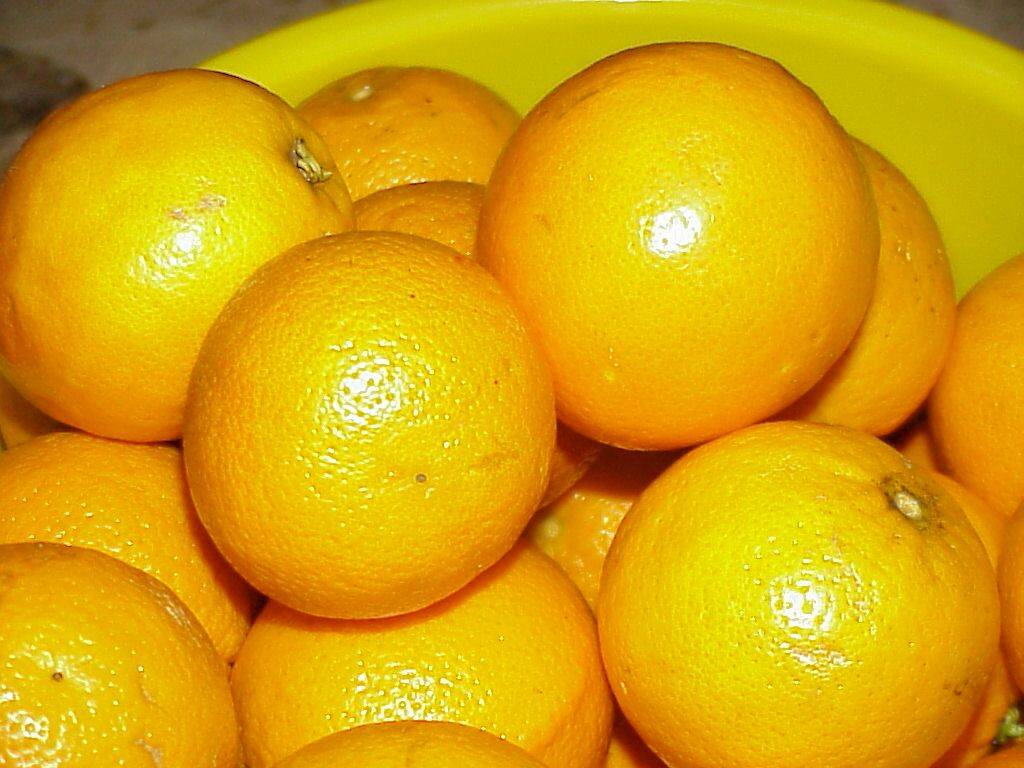 orangen 03