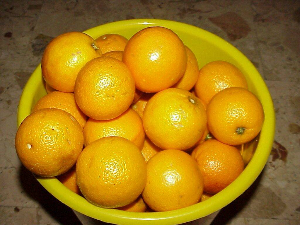 orangen 04