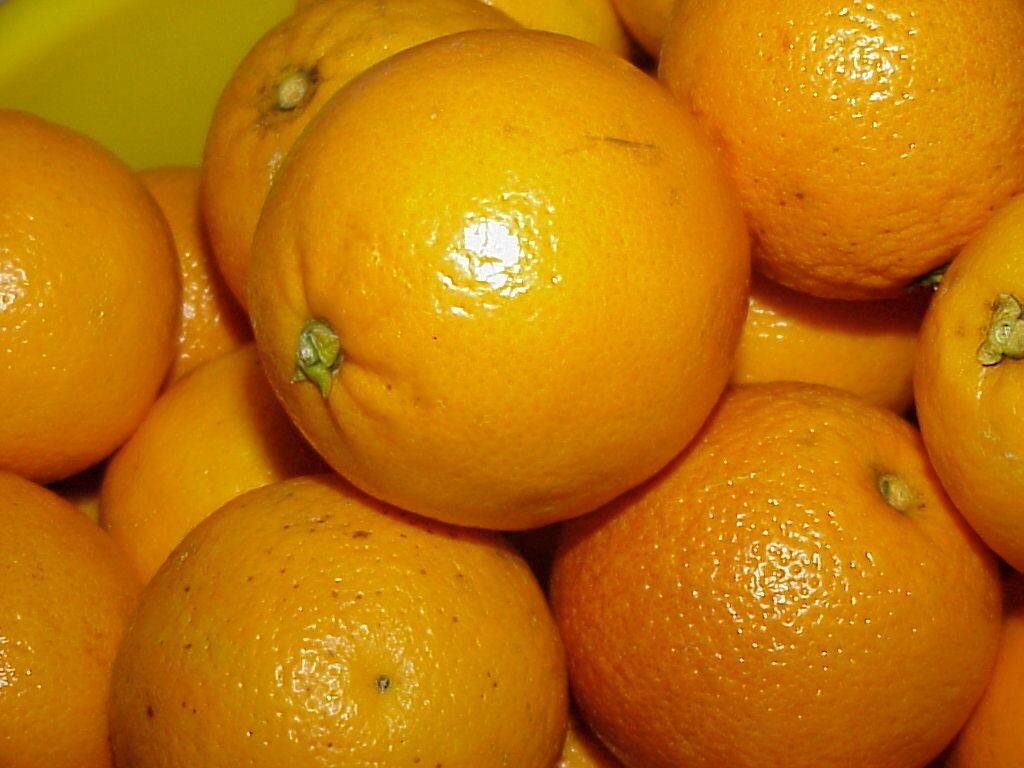 orangen 06