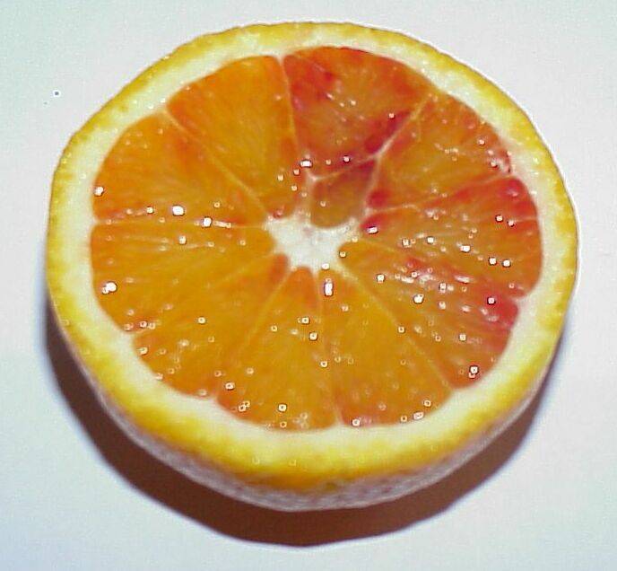 orangen 09