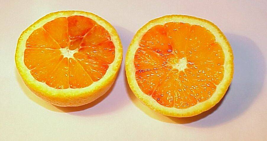orangen 11