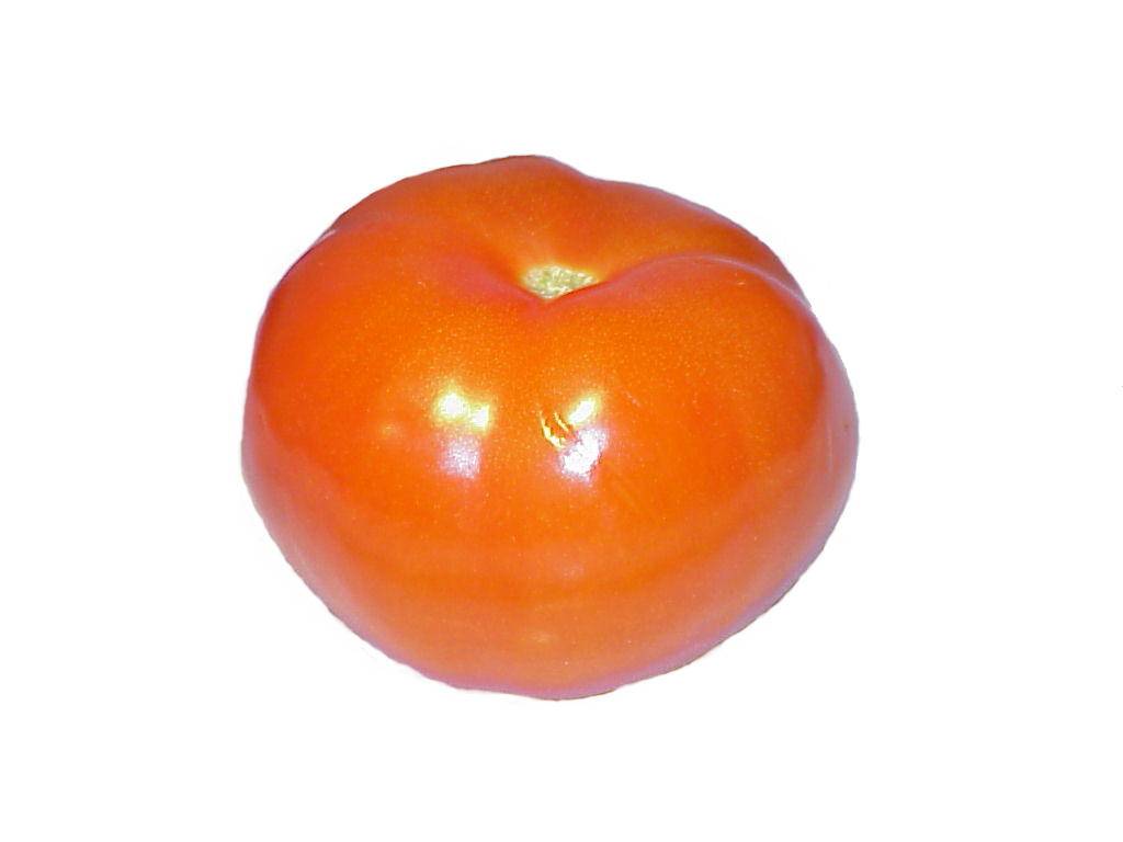 tomaten 09