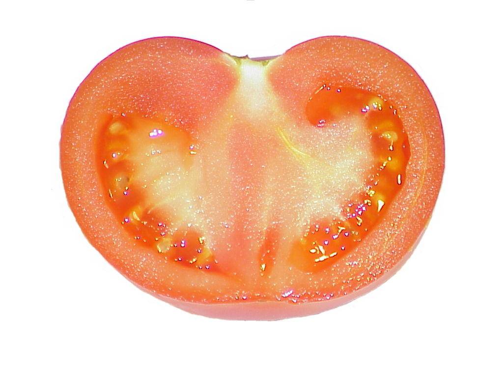 tomaten 13